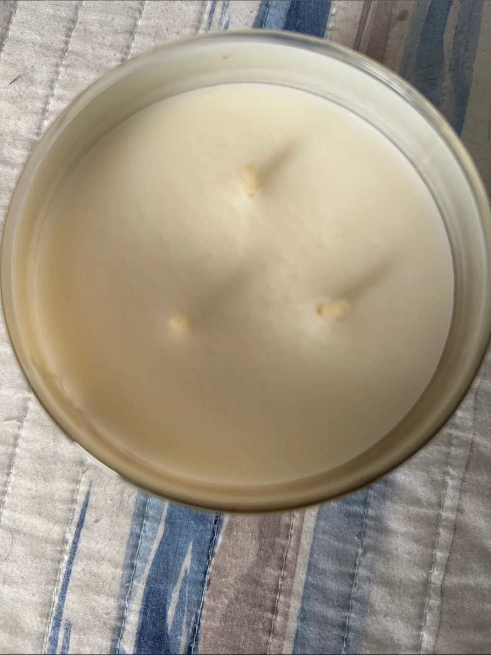Bath & Body Works Pumpkin Apple Candle